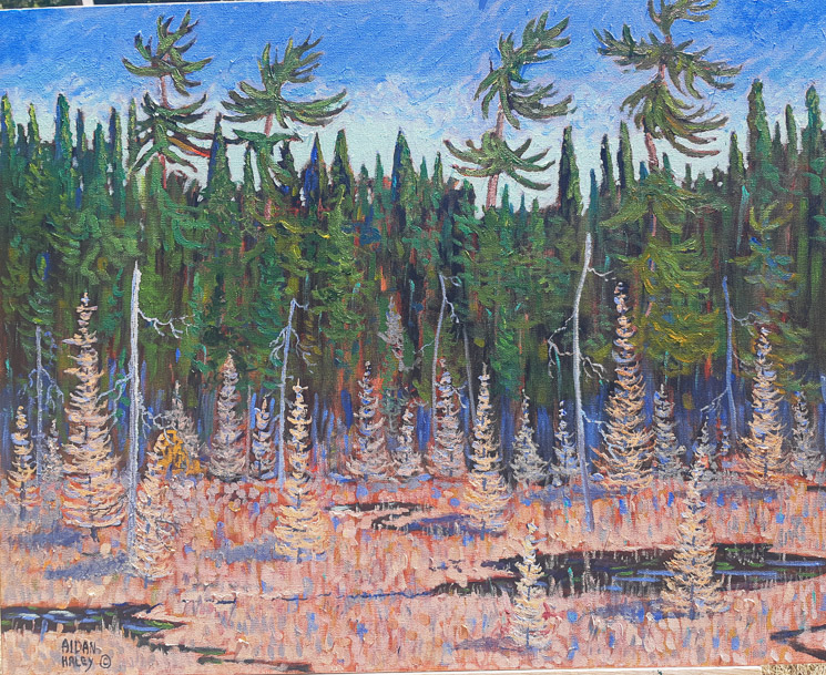 Algonquin - Tamarac Marsh   24 x 30