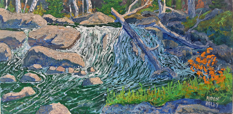 Algonquin Shaded Waterfall  Acr  10x20  $400