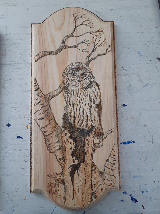 Barred Owl    6 x 13”   woodburning   $250