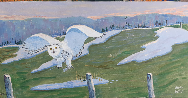 Snowy Owl -  On the Hunt  10x20  Acr.  $400
