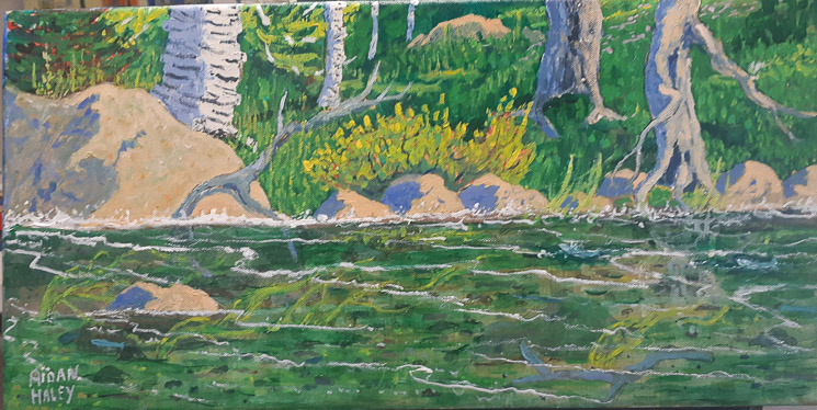 Trout Pool    10 x 20